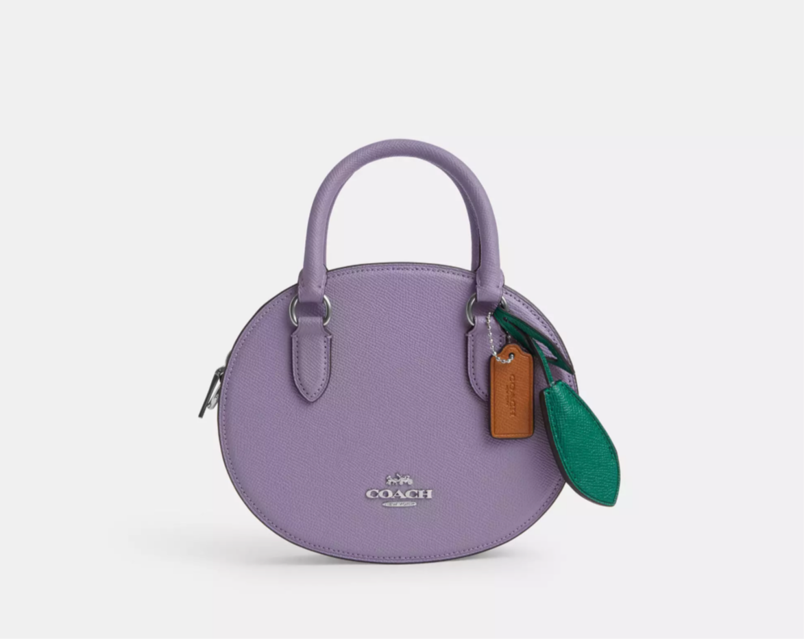 NWT Coach Blueberry Crossbody Leather Handbag