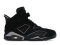 Air Jordan 6 Retro Cap and Gown