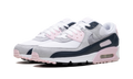 Air Max 90 "Pink Foam Armory Navy" DM0029 106