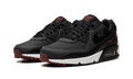 Air Max 90 "Anthracite Team Red" DQ4071 001