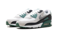 Air Max 90 "Evergreen Aura" DM0029 116